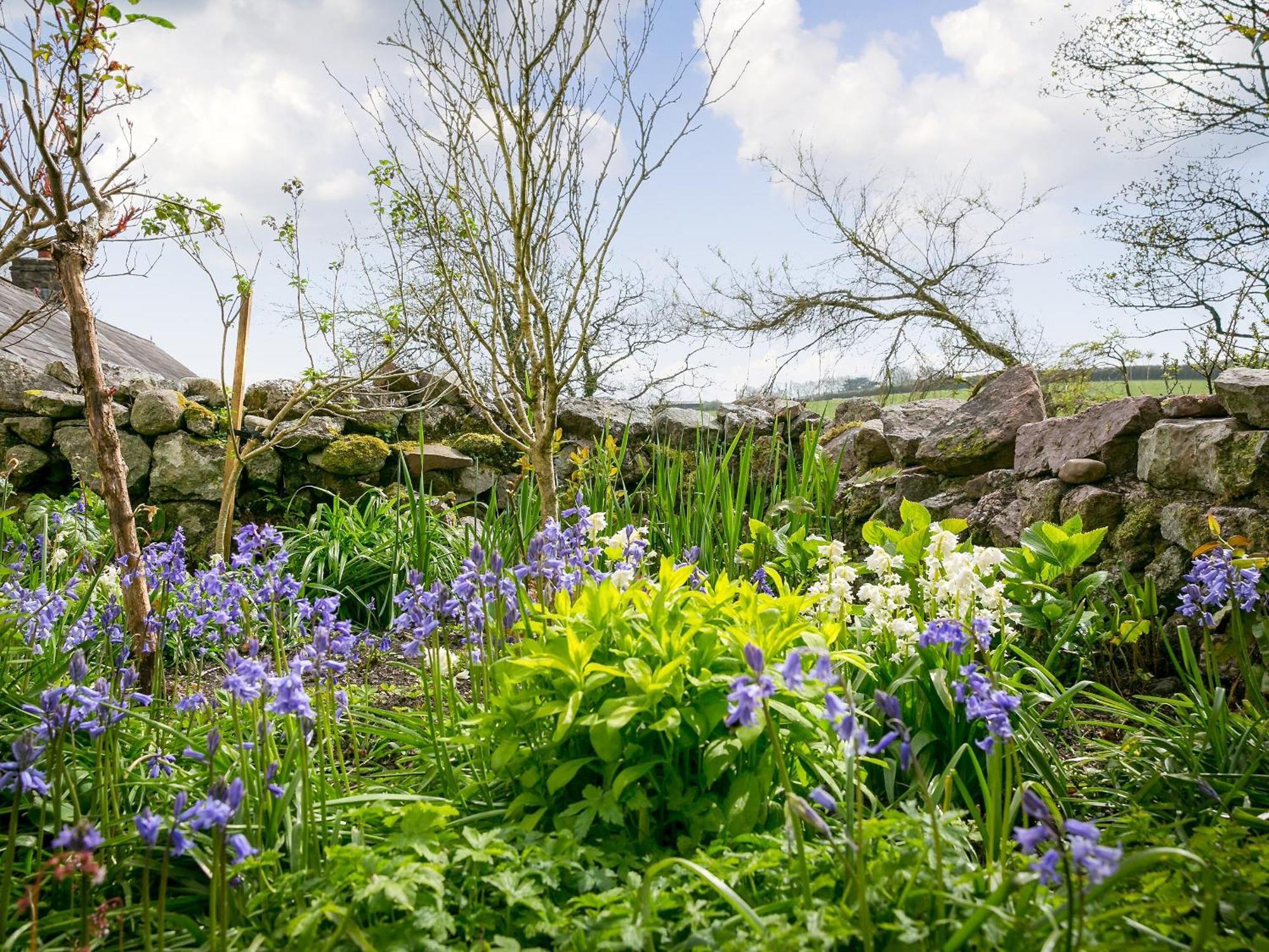Teal Villa Llangennith Buitenkant foto